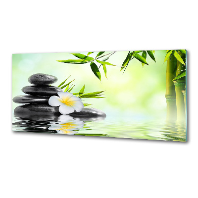 Panel do kuchni Plumeria i bambus