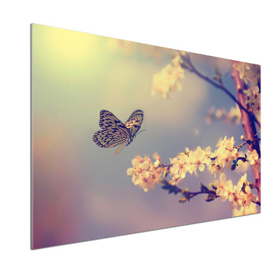 Panel lacobel Kwiat wiśni i motyl