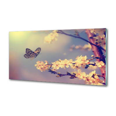 Panel lacobel Kwiat wiśni i motyl