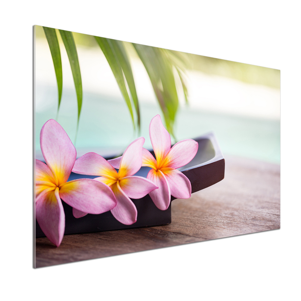 Panel między meble w kuchni Plumeria