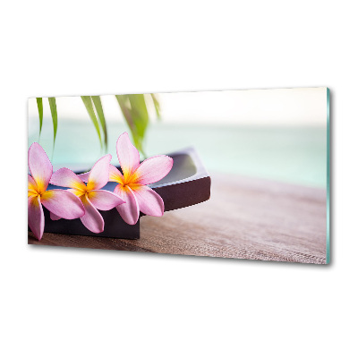Panel między meble w kuchni Plumeria