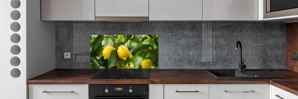 Panel do kuchni Cytryny na drzewie