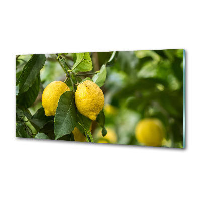 Panel do kuchni Cytryny na drzewie