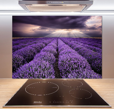 Panel dekor szkło Pole lawendy