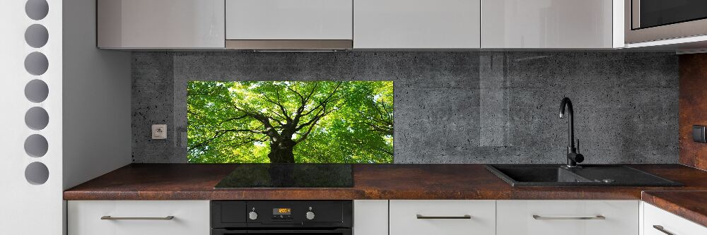 Panel dekor szkło Zielony las