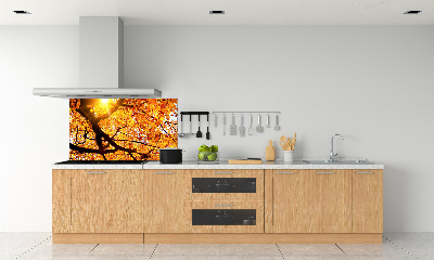 Panel lacobel Korona drzew jesień