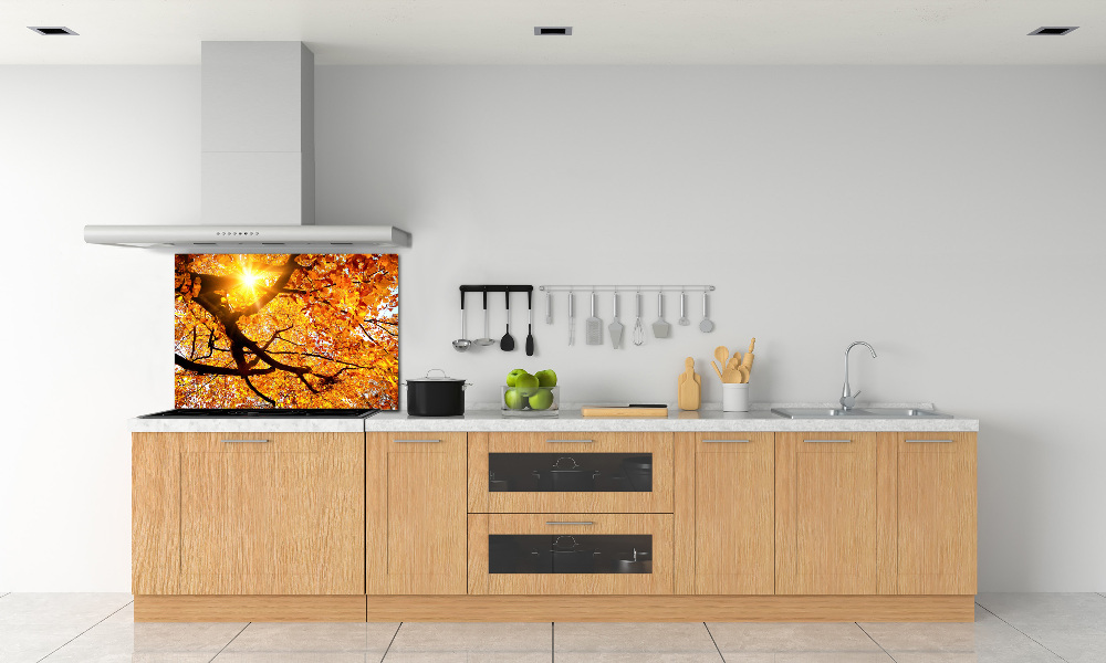 Panel lacobel Korona drzew jesień