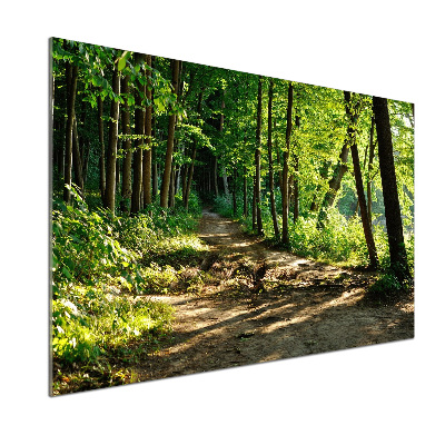 Panel do kuchni Ścieżka na łące
