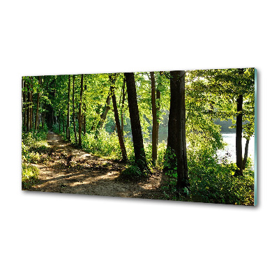Panel do kuchni Ścieżka na łące
