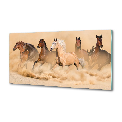 Panel do kuchni Konie pustynia