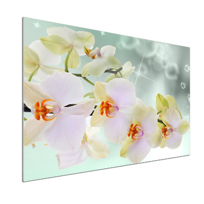Panel do kuchni Biała orchidea
