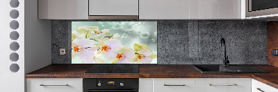 Panel do kuchni Biała orchidea