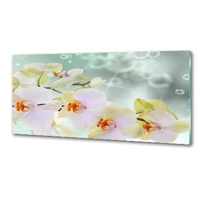 Panel do kuchni Biała orchidea