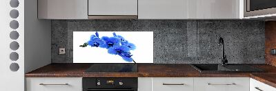 Panel do kuchni Niebieska orchidea