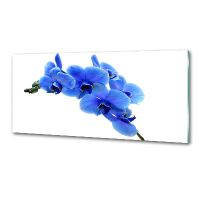 Panel do kuchni Niebieska orchidea