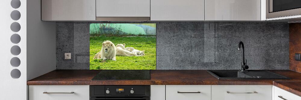 Panel dekor szkło Beżowe lwy