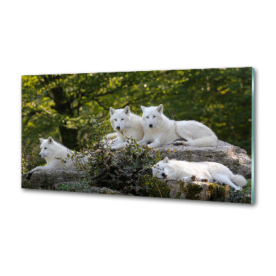Panel do kuchni Białe wilki skała