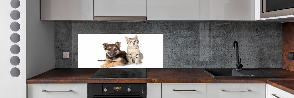 Panel dekor szkło Pies i kot