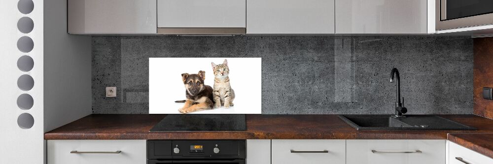 Panel dekor szkło Pies i kot