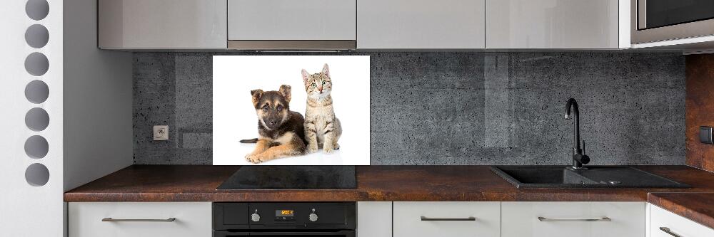Panel dekor szkło Pies i kot