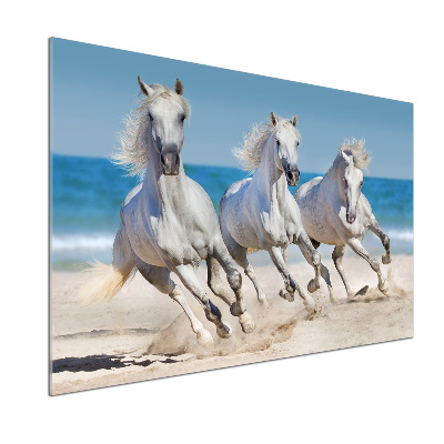 Panel do kuchni Białe konie plaża
